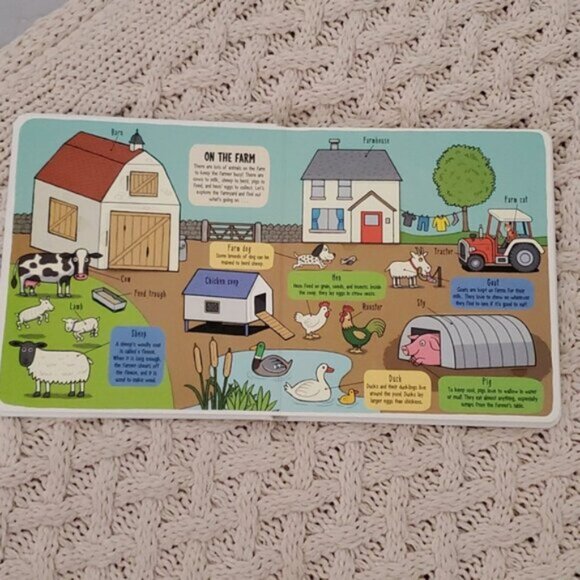 New "Little Explorers: The Animal World" Flap Board Book - Picture 5 of 14